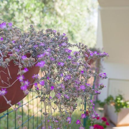 Arbi Case Vacanze Mattinata Exterior foto